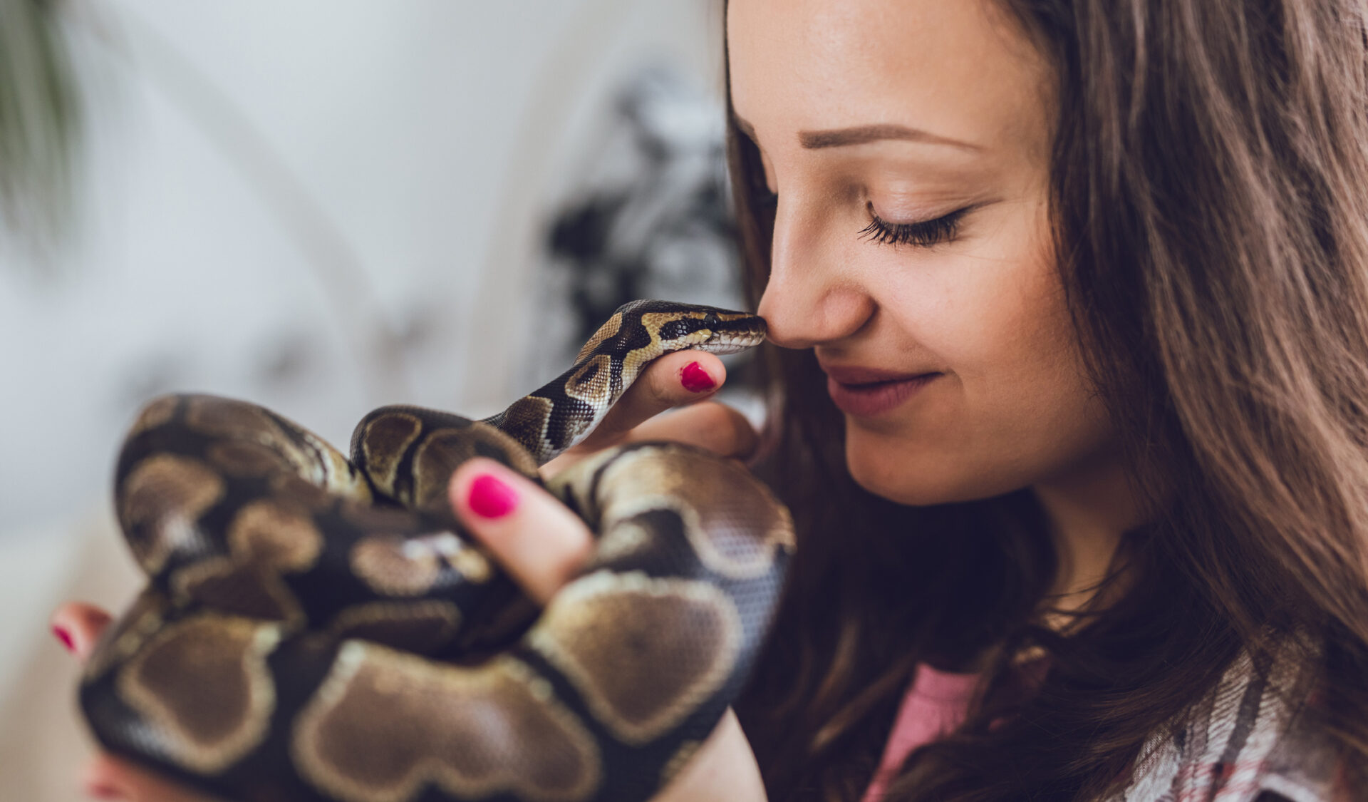 Snake as a Pet: Pros, Cons, and Care Tips