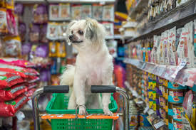 Pet Store Near Me | Find the Best Pet Shops Nearby